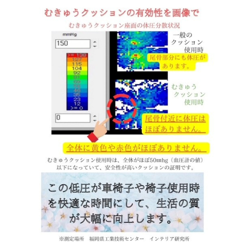 車いすクッション画像